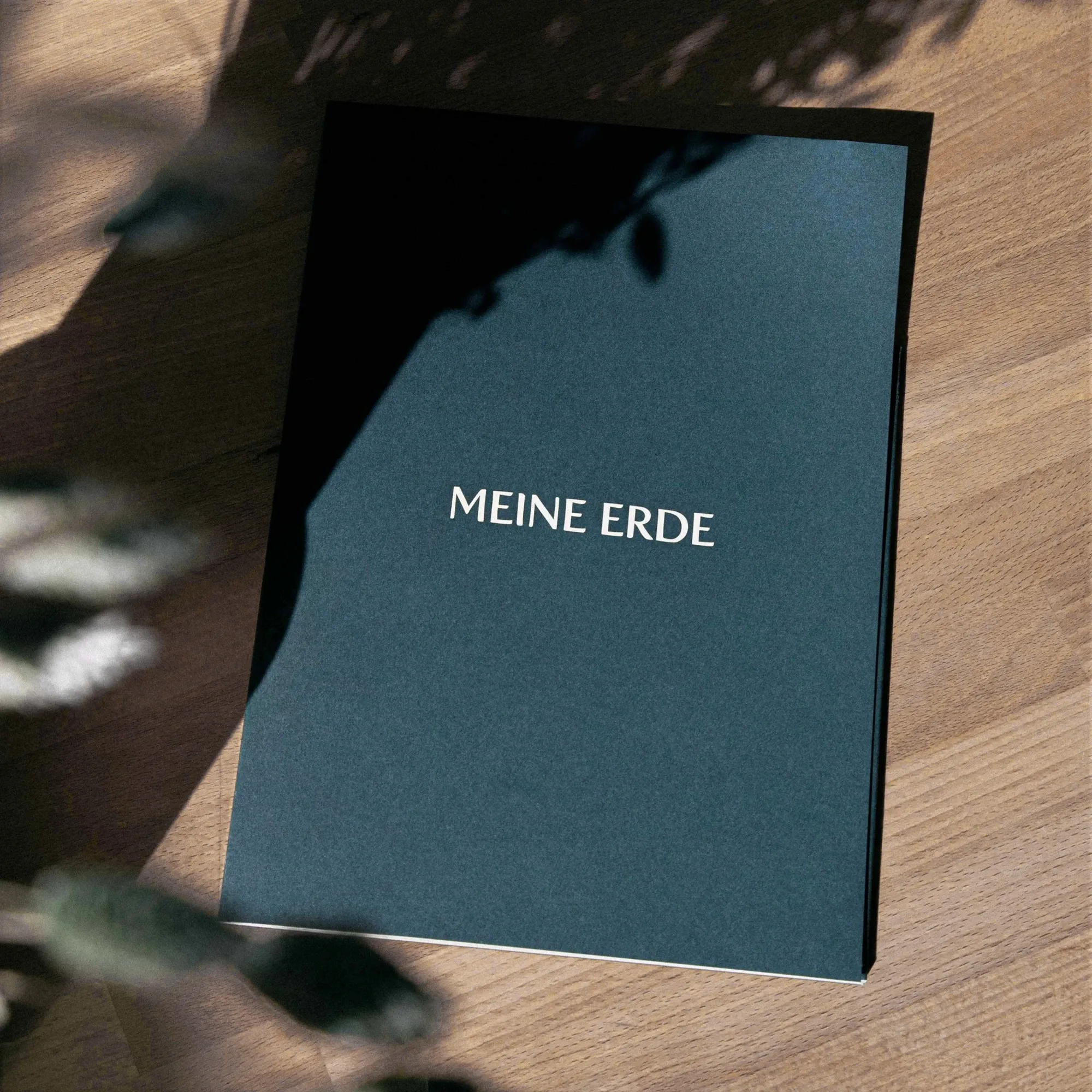 Reerdigungsverfügung