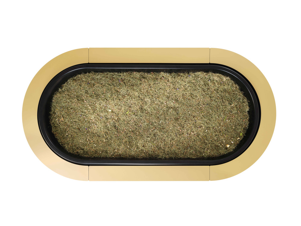 Der Kokon von Oben, Schritt 01 der Reerdigung