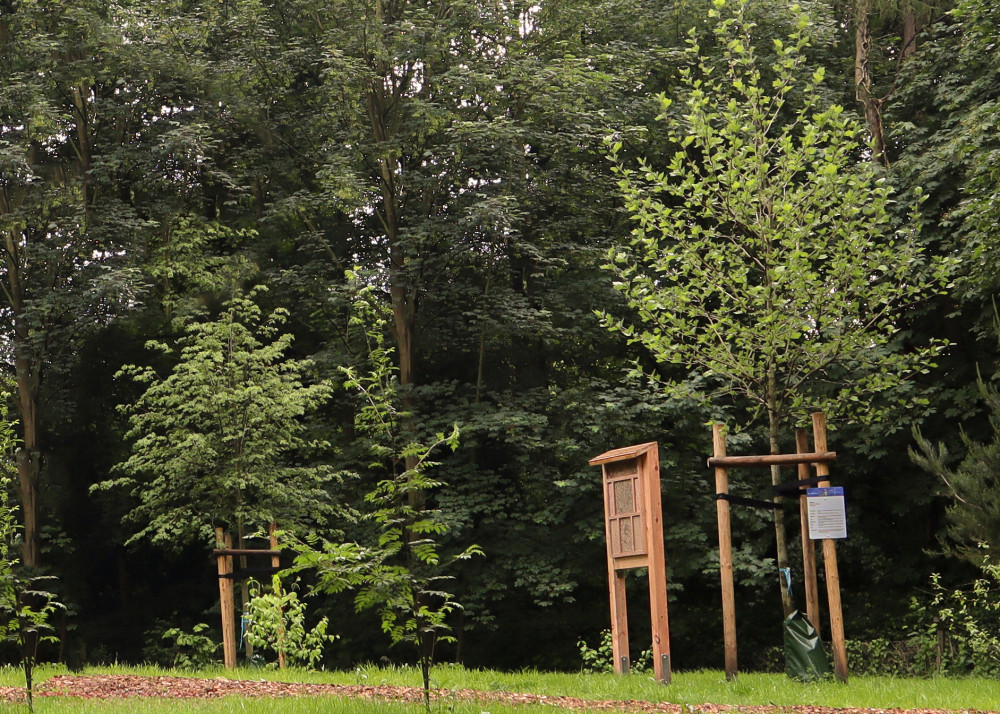 Reerdigungswald in Elmshorn