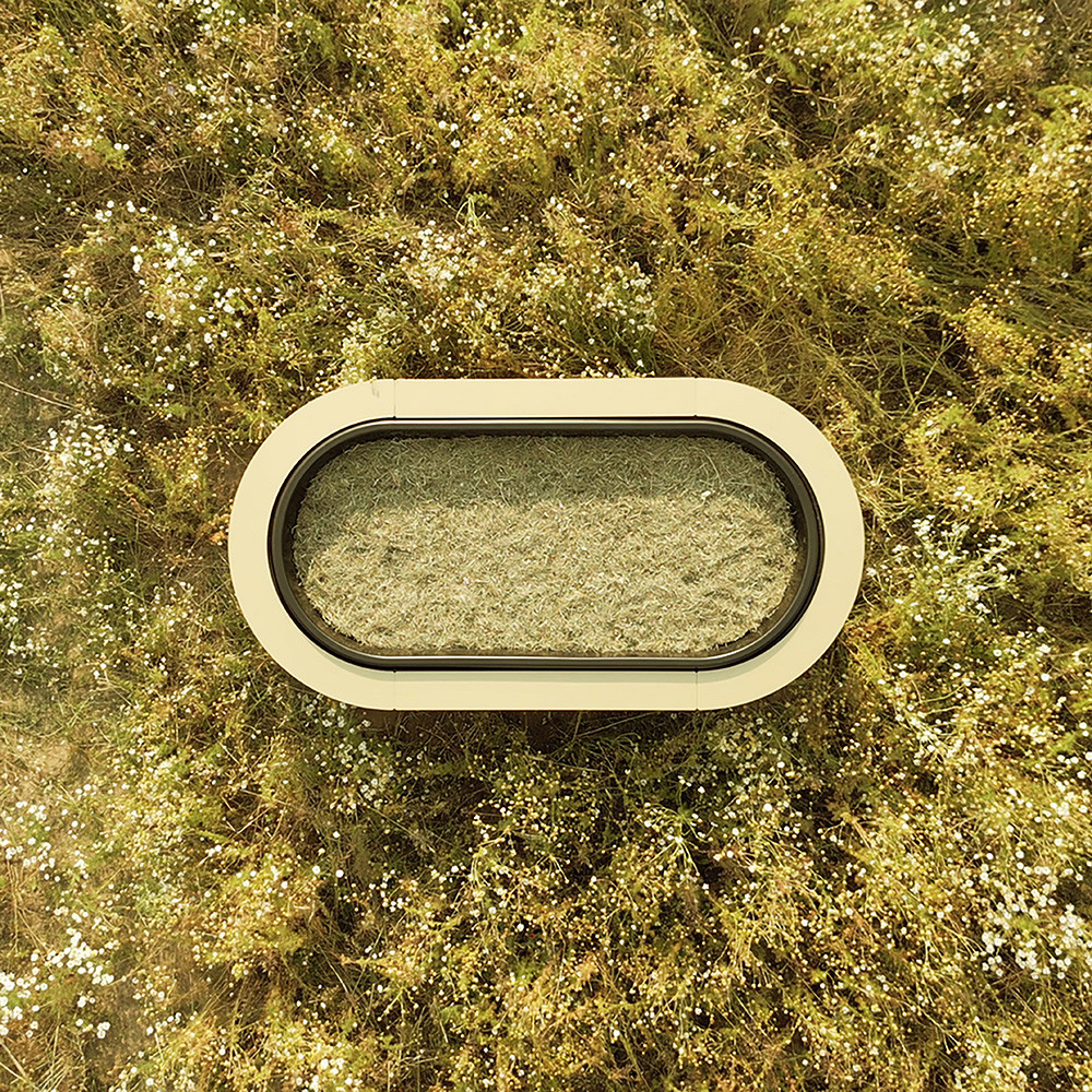 Kokon vom oben in einer Sommerwiese