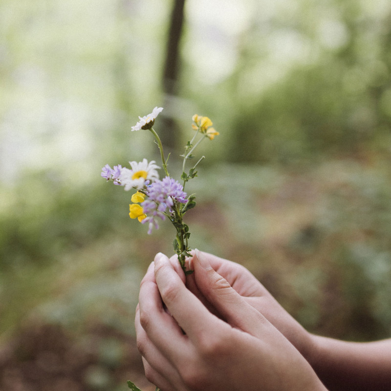 Wildblumenstrauß