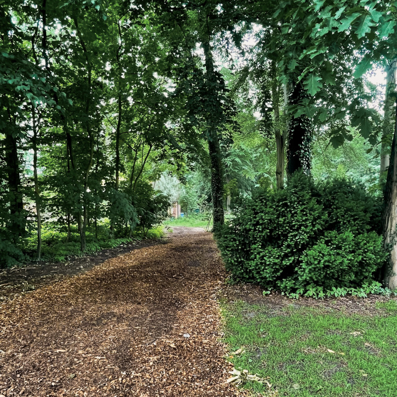 Bestattungswald Elmshorn