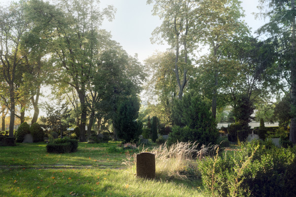 Ein schöner Friedhof mit hohen Bäumen an dem die neue Erde eingebracht werden könnte