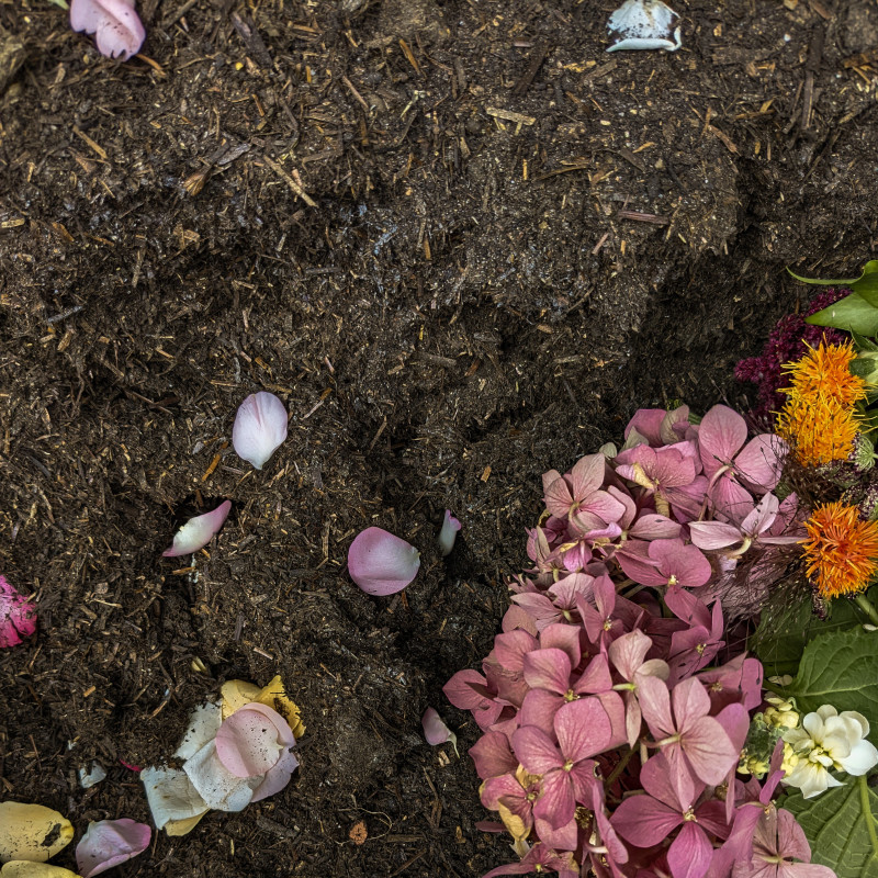 Neue Erde mit Blumen