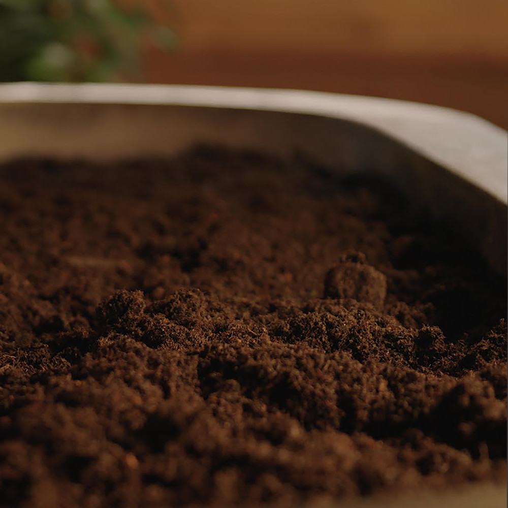 Neue fruchtbare Erde einer Reerdigung