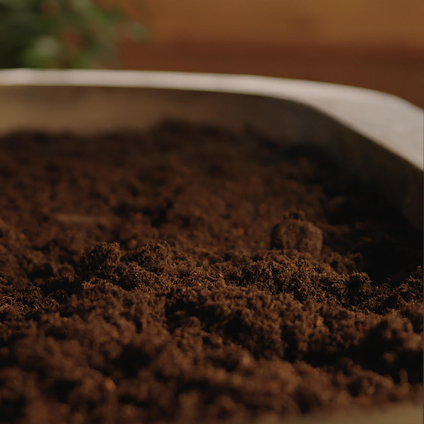 Neue fruchtbare Erde einer Reerdigung